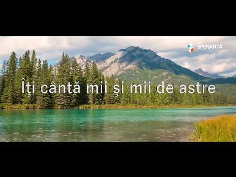 Din vesnicie - Emanuela Hiticas