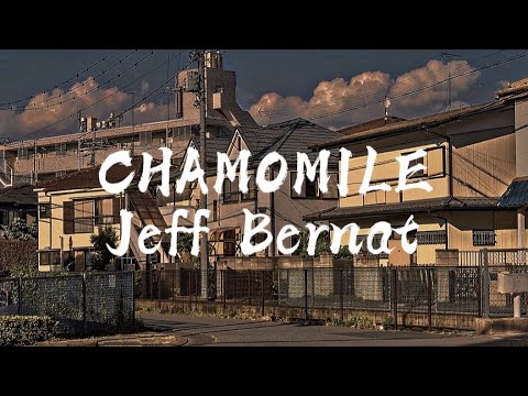 Chamomile - Jeff Bernat