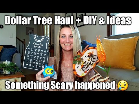 Dollar Tree Haul + DIY + Ideas Something Scary Happened / Aug 2 Video