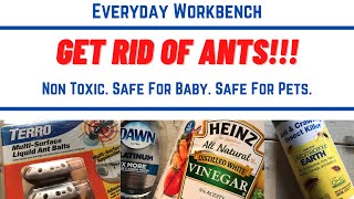 Natural Ant Killer For Your Kitchen. 3 SAFE and NON TOXIC ant killing strategies that work at home!