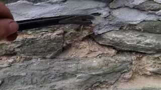 Cement pointing of an old stone wall, and the damage it has done.