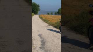 Karayılan dansı bekereci koyu kadirli