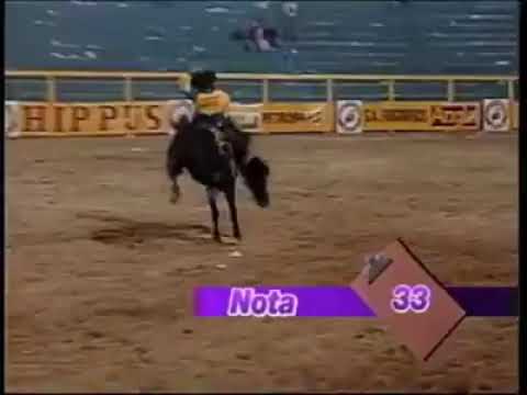 Antonio Calheiros Rodeio de barretos Ano de 1994