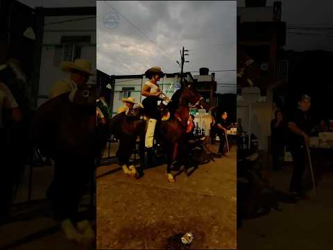 🐴Beautiful Woman riding her stunning horse at nigth 🇨🇴 #culturas4k #colombia #horses #ladies #beauty