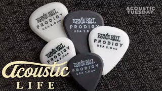 Video thumbnail for Ernie Ball Prodigy Picks Review by Tony Polecastro
