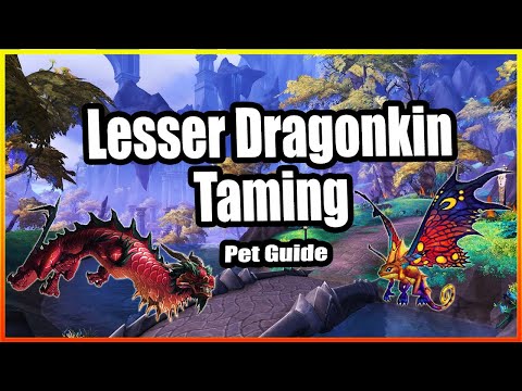 Lesser Dragonkin Taming│Hunter Pet Guide│Dragonflight