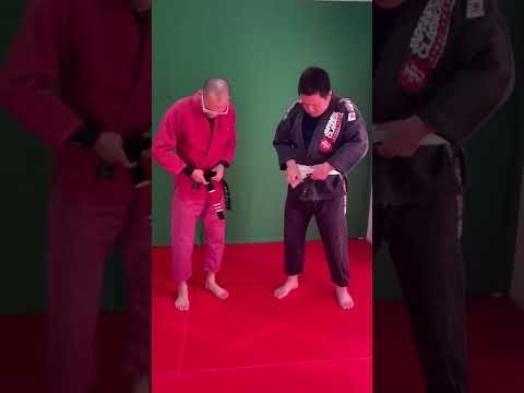 【柔術】帯の絞め方（その4）#shorts #jiujitsu #bjj #柔術 #ブラジリアン柔術 #mjjlab