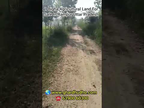 Video #1