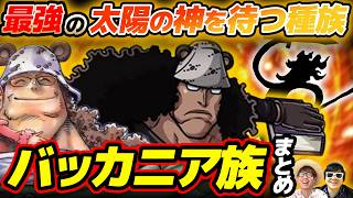 【 ワンピース 】その正体とは！？太陽の神ニカを待つ種族！バッカニア族まとめ！ONE PIECE