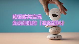 膽固醇其實是 免疫細胞的「建築材料」 Cholesterol is actually the “building material” of immune cells