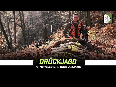 Der Muffelberg - Drückjagd mit @WildboarFanatic