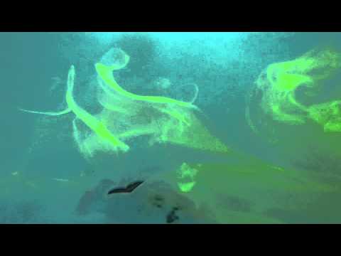 comment localiser fuite d'eau