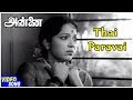 Thai Paravai Song Annai Tamil Movie Video Songs P Bhanumathi Sowcar Janaki R Sudarsanam