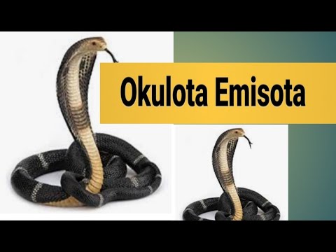 OKULOTA EMISOTA