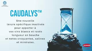 CAUDALYS™ : Sublimez la longueur aromatique, la salinité et la fraîcheur des vins blancs et rosés