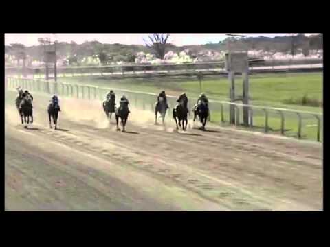 4° Carrera - 1° Ford Harrison (SINT-Colonia)