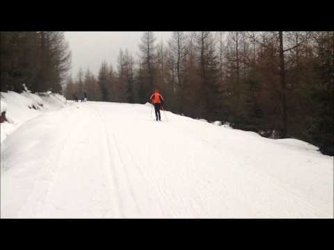 TECHNIKA KLASYCZNA Narciarstwo Biegowe - Film Instruktażowy