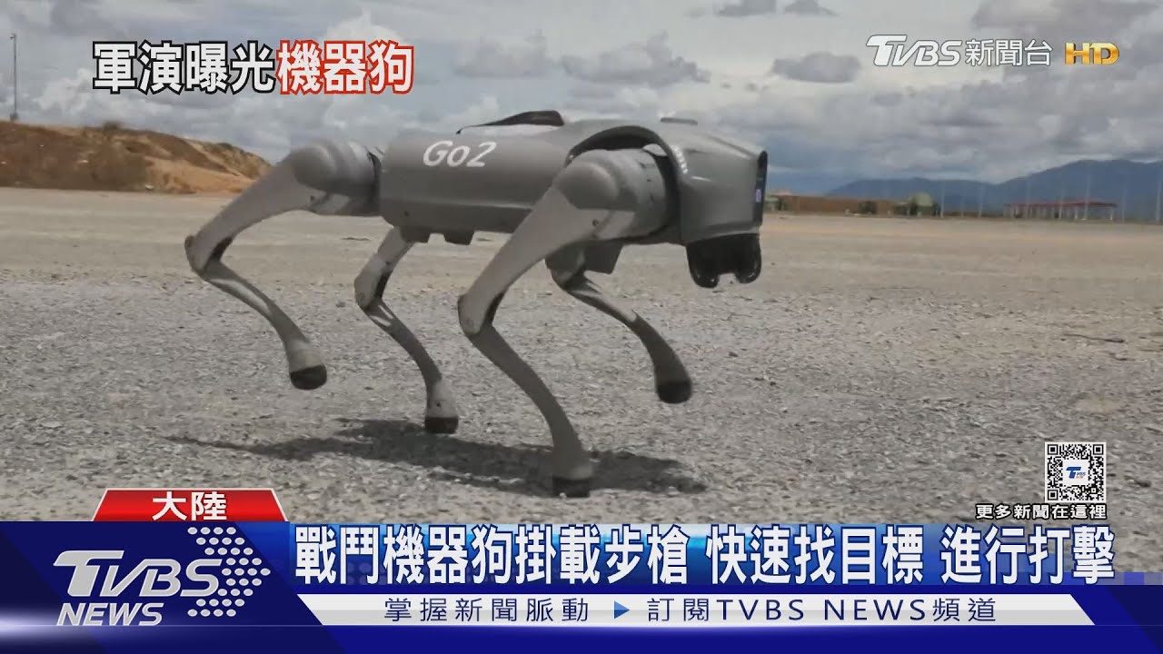 巷戰利器 陸首度展示2款機器狗 能偵蒐、打擊