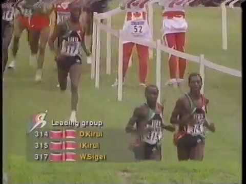 1993 Mens World Cross Country Championships