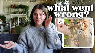 Plants I've killed & Will I repurchase? My Plant fails :(
