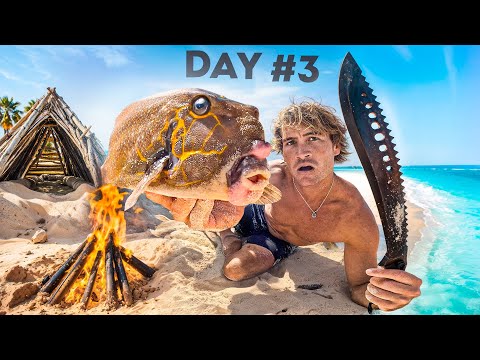 3 Days Solo Survival On A Deadly Uninhabited Island (No Food, No Water, No Shelter)