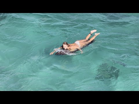 Blue Joy – Uluwatu