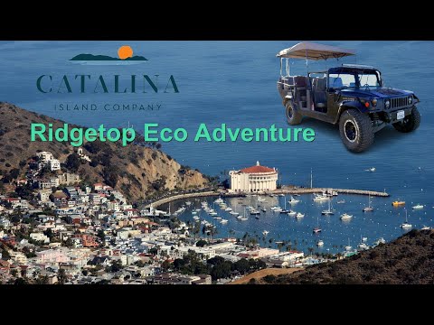 Catalina Ridgetop Eco Adventure Hummer Tour! 2-Minute Route Highlight Video