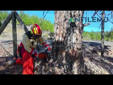 Volteo Seguro en Predio La Orilla, Empedrado, Región del Maule