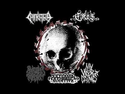 Chikara / Eris / Rotten Rectum / Extrema Perturbação Auditiva / My War Crimes - 5 Way Split [2018]