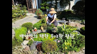 백번 찿아 다닌 끝에 택한 집과 정원을 주부가 손끝으로 꾸며본 우아한 정원