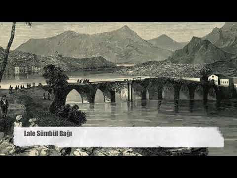Lale Sumbul Bagina - Adana Turkuleri