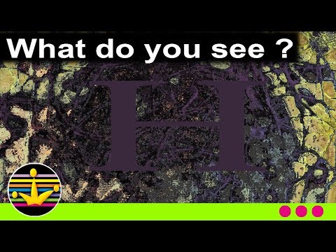 What do you see?    kids color game AijaStudio 706
