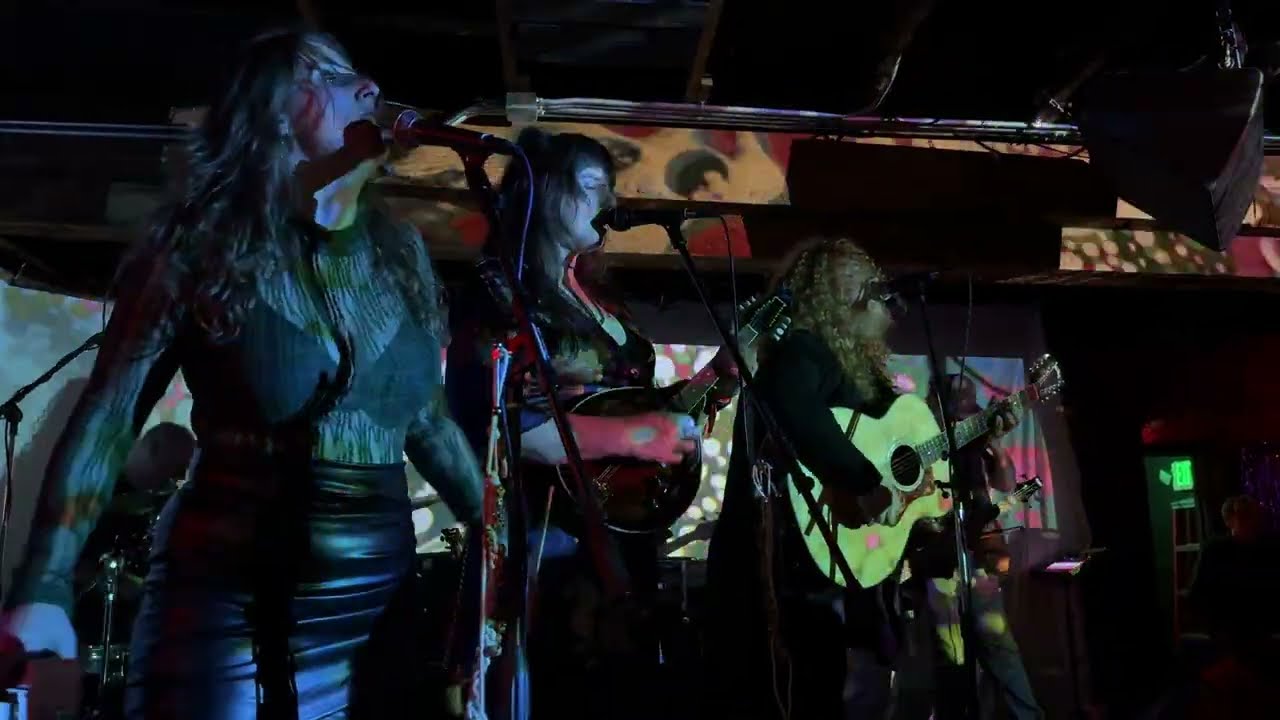 Mountain Holler and the Western Dawn - Live at Freakout '25