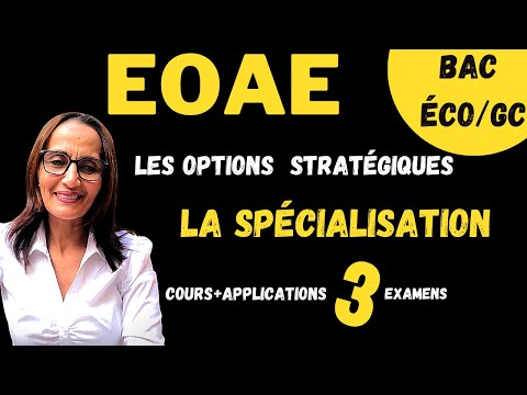 BAC ECO/GC : Les options stratégiques :La spécialisation + corrigés des nationaux  2020/2019et 2018