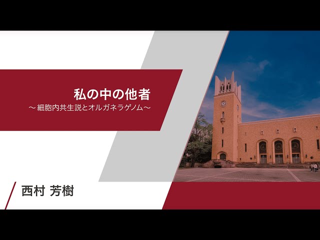 動画サムネイル