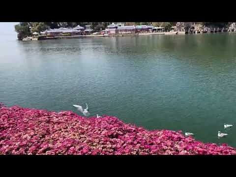 云南大理的苍山洱海在双廊古镇的景观