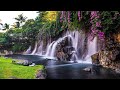 Healing Music For The Heart And Blood Vessels Gentle Music Soothes The Nervous System And Please