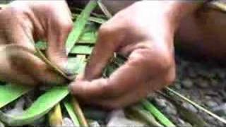preview picture of video 'How to weave coconut palm. Milne Bay, PNG'