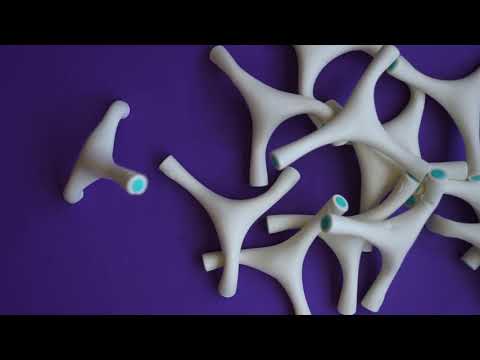 Geemo by Cas Holman 2021