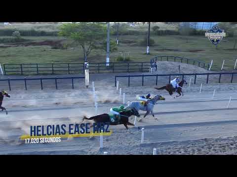 VII GP Velocidade Nordeste - Segundo páreo classificatório