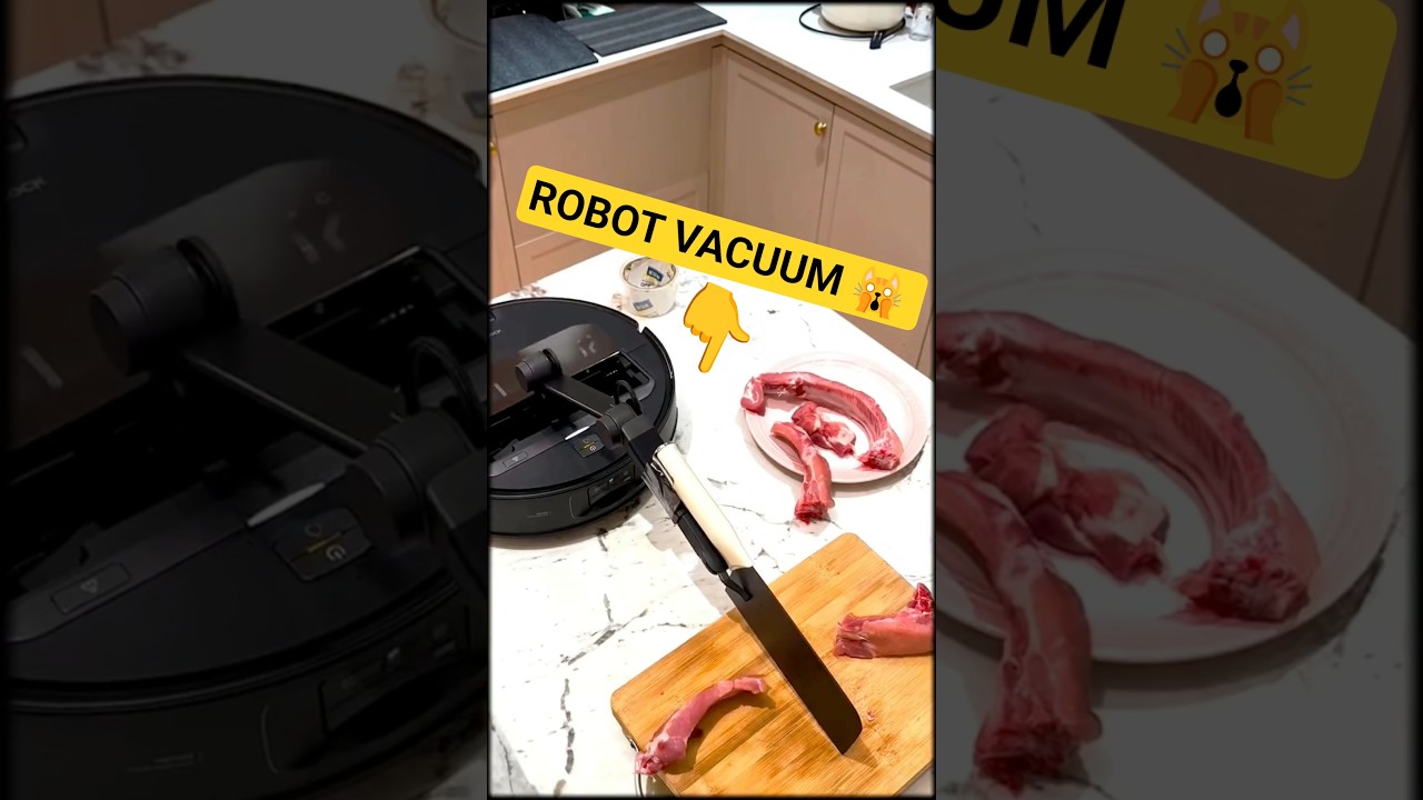 Evolution of Robot Vacuum... What’s Next?