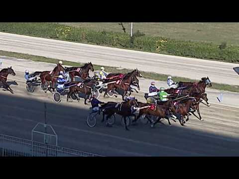 Aversa trotto 8 Febbraio 2020 - 2° Corsa