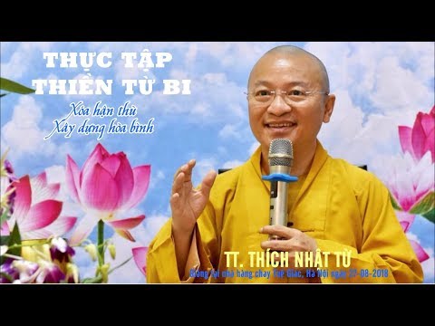 Thực tập thiền từ bi Xóa hận thù xây dựng hòa bình - TT. Thích Nhật Từ 