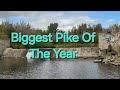 Video Thumbnail for Biggest Pike Of The Year.(New Lure)