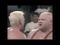 Vader Vs Sting 10 15 94