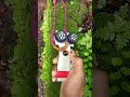 Dc Motor Toy Shorts