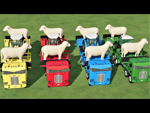 TRANSPORT OF COLORS ! SHEEPS JOB ! ANIMAL TRANSPORTING w/ TRUCKS & TRACTORS ! Farming Simulator 22