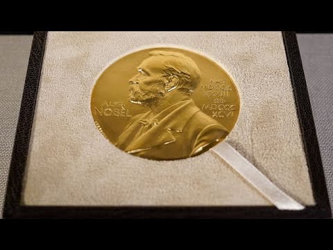 John Hopfield und Geoffrey Hinton erhalten den Nobelpreis für Physik für ihre Arbeit an n…