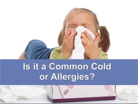 Is it a Common Cold or Allergies? - YouTube
