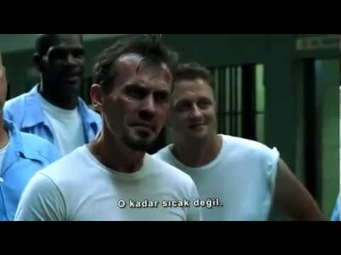 T - Bag - Not That Hot